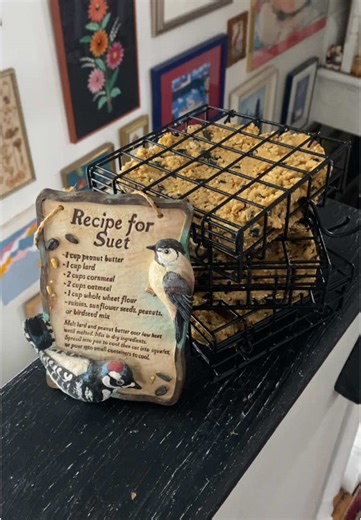 Exploring Homemade Suet Recipes for Birds