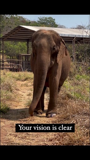 27K views · 2.1K reactions | Every day, we do everything we can to...