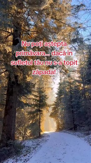 Videoclipuri postate de 🧿N'نيكوليه🧿 (@nikool.06) cu Serenity Flow - Spiritual Magic Flow