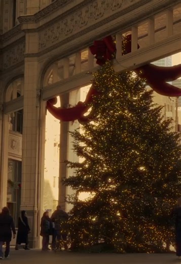 The Power of Still Shots