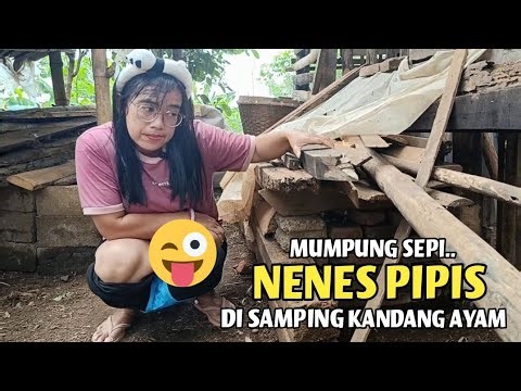 It's so funny... ❓when the mother feeds the goat in the barn.. It makes me laugh