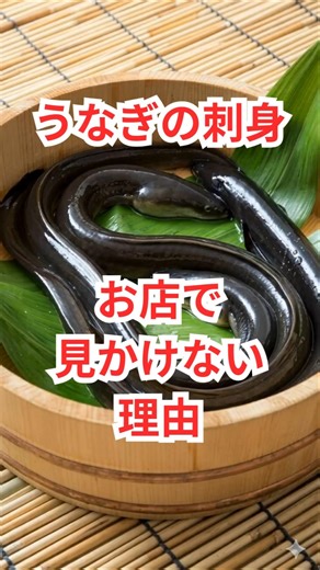 うなぎの刺身を、お店で見かけない理由とは？