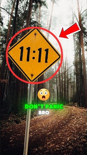 The Hidden Meaning of 11:11❗️ ☠️