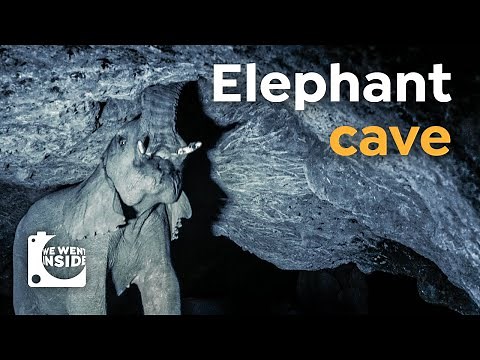 We Went Inside an Elephant Cave I Underground Salt-mining
