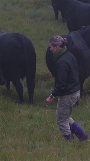 Amazing Videography Weekend Highlights on the Farm