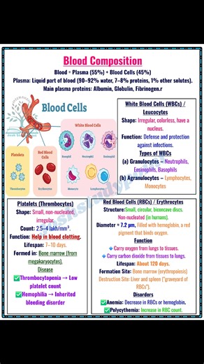 156K views · 993 reactions | "Blood is a specialized connective tissue composed of plasma and formed elements such as RBCs, WBCs, and platelets. It transports gases, nutrients, hormones, and waste products while maintaining body defense and homeostasis." #BloodComposition #BiologyNotes #HumanPhysiology #NEETBiology #NCERTBiology #CirculatorySystem #RBC #WBC #Platelets #Homeostasis #fblifestyle | Josh Study point | Facebook
