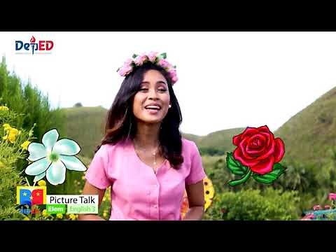 Grade 3 English Q1 Ep1: Picture Talk