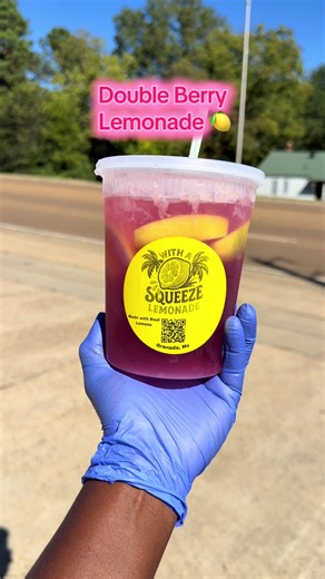 Double Berry Lemonade Recipe: Fresh Flavor Mixing