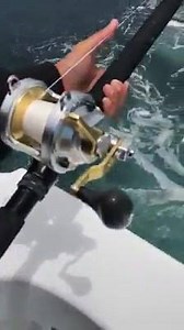 91K views · 1.4K reactions | Swordfish Pitch Baited!! | Hunter & Fishing | Facebook