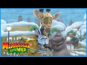 Escaping the Bronx Zoo?! 😮 | DreamWorks Madagascar