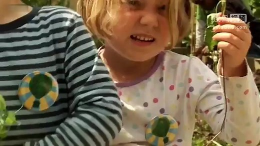 Green_Balloon_Scrapbook_S01E08