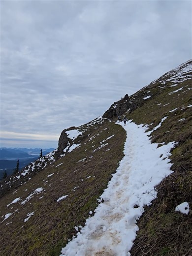 Is hiking truly fun if you only look back on it fondly afterwards?🤔 Hiking and Type 2 fun are complicated for me. While hiking may sometimes be unenjoyable in the moment, doing and achieving difficult things is something that no one can take away from you. 5.5 hours and 8 miles later, I'm happy to add Dog Mountain to my list of completed hikes in 2026.🫡 #solohiking #columbiarivergorge #pnw #washington #granola
