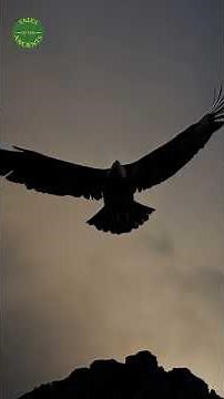 To Be Prometheus | Suffering the Curse of Knowledge While Stealing Fire