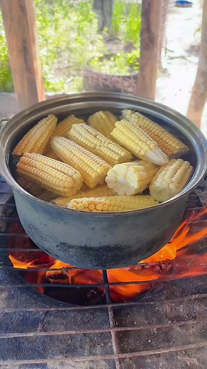 Cuentas recomendadas