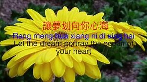 花心 (周華健) Hua Xing (Zhou Hua Jian) Flower's Heart by Wakin Chau Chords - ChordU
