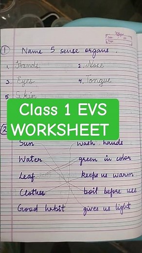 class 1 EVS worksheet | EVS class 1 worksheet with answers | class 1 practice worksheet answers |