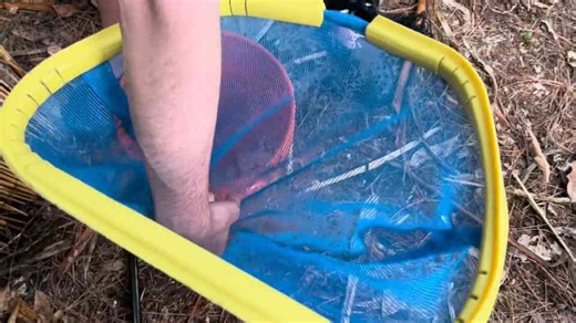 All my fish almost died