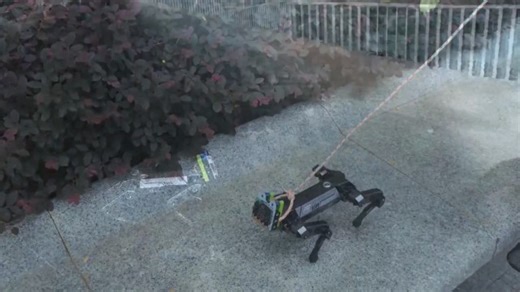 Watch ELECFREAKS XGO microbit Robot Dog Kit SEAM 12 Movable Joint  on Amazon Live