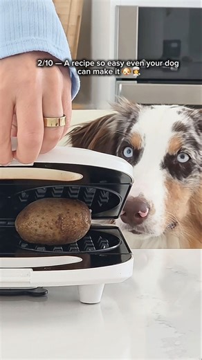 Cooking with my dog a trending potato recipe 👩‍🍳🍟