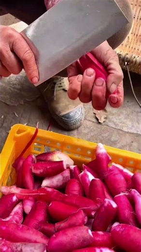 【Radish Cutting Tutorial】Beginners Can Easily Master This Quick and Attractive Cutting Method!