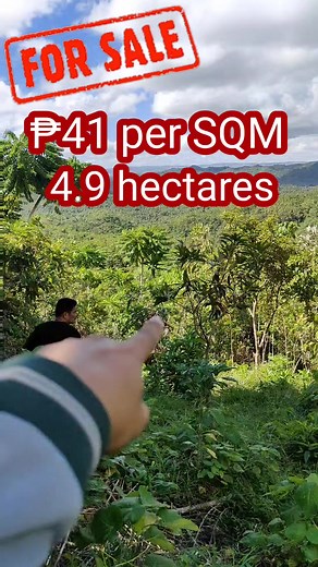 no.112 Lot for sale good for poultry farm and piggery farm #forsale #lotforsale #lot #farmlot #lotforsalephilippines #propertyforsale #landforsaleinphilippines #propertyforsalephilippines