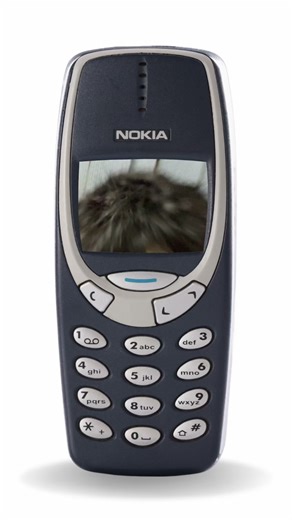 i am in the nokia button phone