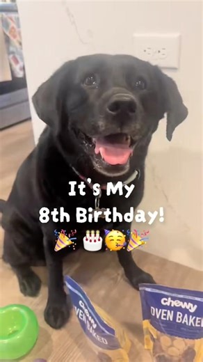 Happy 8th Birthday!