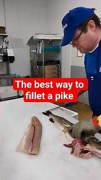 Hauen fileointi (the best way to fillet a pike) #filleting #pike #skinless #hauki #haukifile