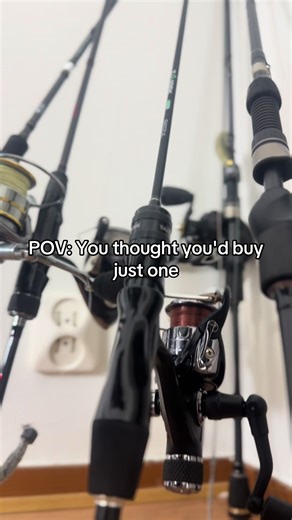 The Joy of Fishing: Why One Rod Isn't Enough
