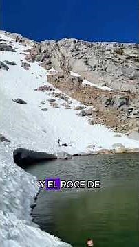 The woman is being chased by wolves.#animals #Friendship #Us #fyp #Wolf