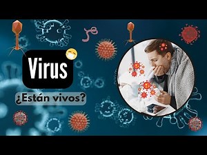 Viruses: Structure, importance and classification