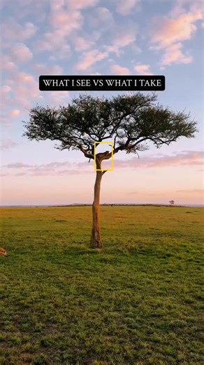 Ontarget Safari on Instagram: "3 Days / 2 Nights Luxury Private Safari from Zanzibar Serengeti National Park & Ngorongoro Crater Enjoy an exclusive fly-in safari combining comfort, privacy, and exceptional wildlife experiences in Tanzania’s most iconic destinations. Day 1: Zanzibar – Serengeti Hotel pick-up in Zanzibar followed by a scenic flight to Serengeti. Meet your private guide and enjoy a full-day game drive across the legendary plains, home to the Big Five. Overnight: Luxury Tented Camp.