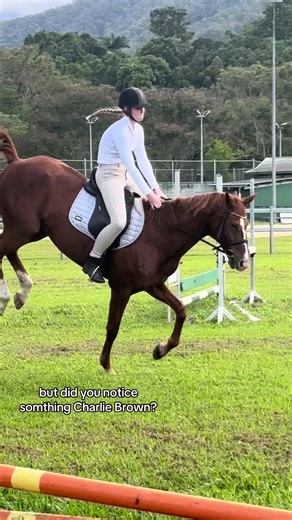 Emotional Journey of Selling a Horse