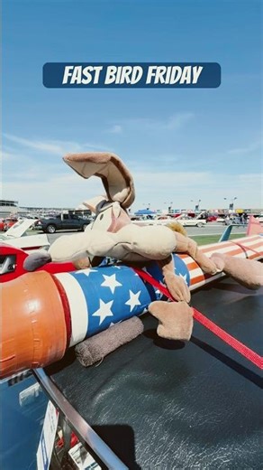 Fast Bird Friday with this unique SuperBird #charlotteautofair #plymouth #superbird #cartoon