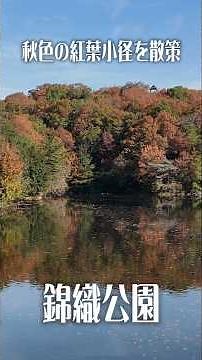 【紅葉の小径を癒やし散歩】大阪・富田林 錦織公園｜色づく園内を散策