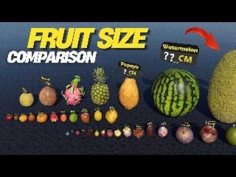 Fruit Size Comparison | 3D