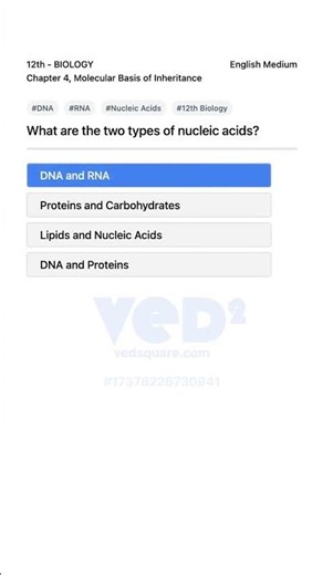DNA and RNA Explained 12th Biology Molecular Basis of Inheritance