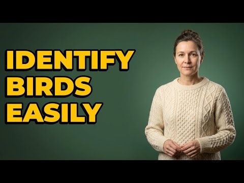 How To Use A Field Guide For Bird Identification?