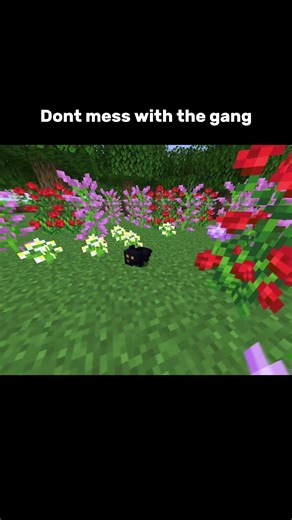 DONT mess with the Minecraft gang...