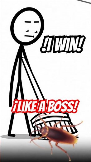 What Happens When You Find a Giant Bug in Your Kitchen?