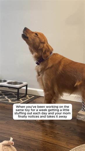 Steady Extraction Schedule: Timely Project Management