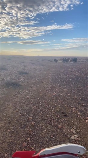 Experience Outback Australia: Life on the Farm