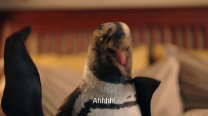 8.3K views · 3 comments | Say goodbye to surprise account fees. CIBC Smart™ #FitsYourLife by capping your monthly fee at $14.95. | CIBC | Facebook