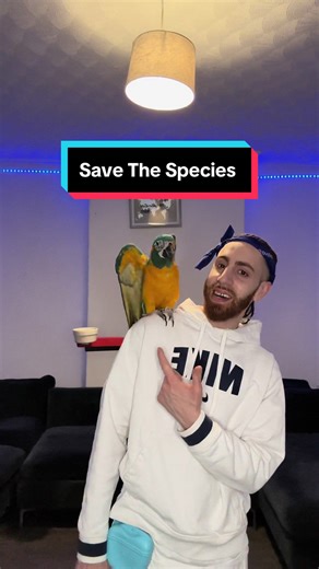 Save Blue Throated Macaws: Aria's Intelligent Tricks & Conservation Efforts