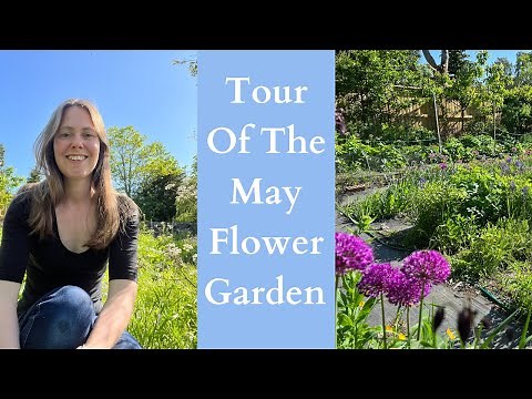 Tour Of The May Flower Garden