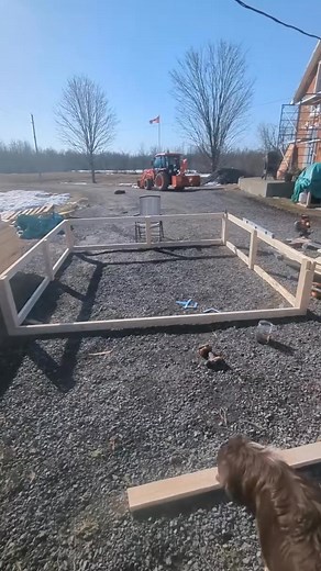 Let's build a Chicken tractor! This year is our first real year doing meat birds we did 6 last year but we are doing 40 birds twice this year, so 80 meat birds by the end of the year. It's going to be a learning experience for us and we are very excited. To those that have done this before any advice for us? #modernhomestead #homesteading #homestead #farmlife #chickentractor #chickens #broilers #growyourown #growfood | Mitchell Cannon | Facebook