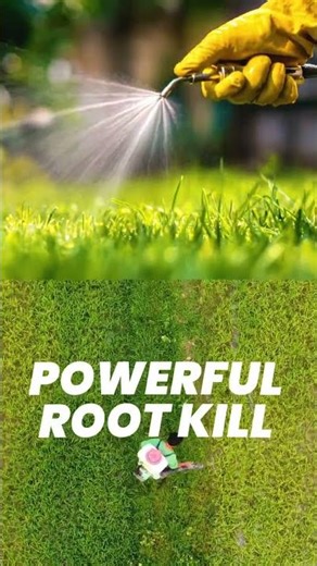 Glyphosate 41% Concentrate Explained | Effective Vegetation Management for Clean Land