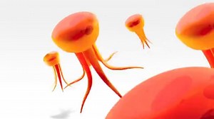 Sponge Bob Bumper 2011