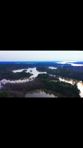 2.3K views · 33 reactions | We couldn’t wait to share the news with you! Come and see the latest GSX Powerboats 36 model at the 2024 Miami International Boat Show next week! Find us inside the convention center- booth MB1044! #gsxpowerboats | GSX Powerboats by Glasstream | Facebook