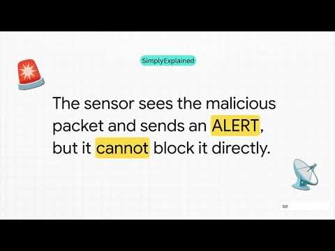 Hackers Can’t Hide: Network-Based IDS Explained